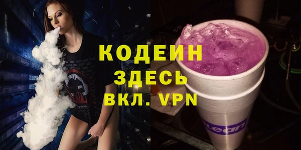 прущие грибы Няндома
