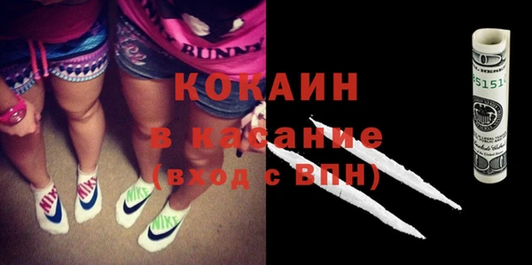 шишки Алексин