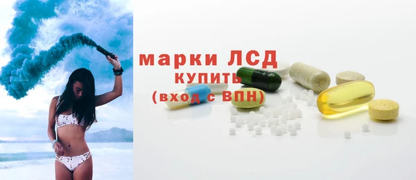 прущие грибы Няндома