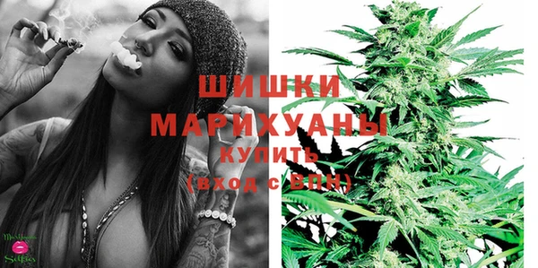 прущие грибы Няндома